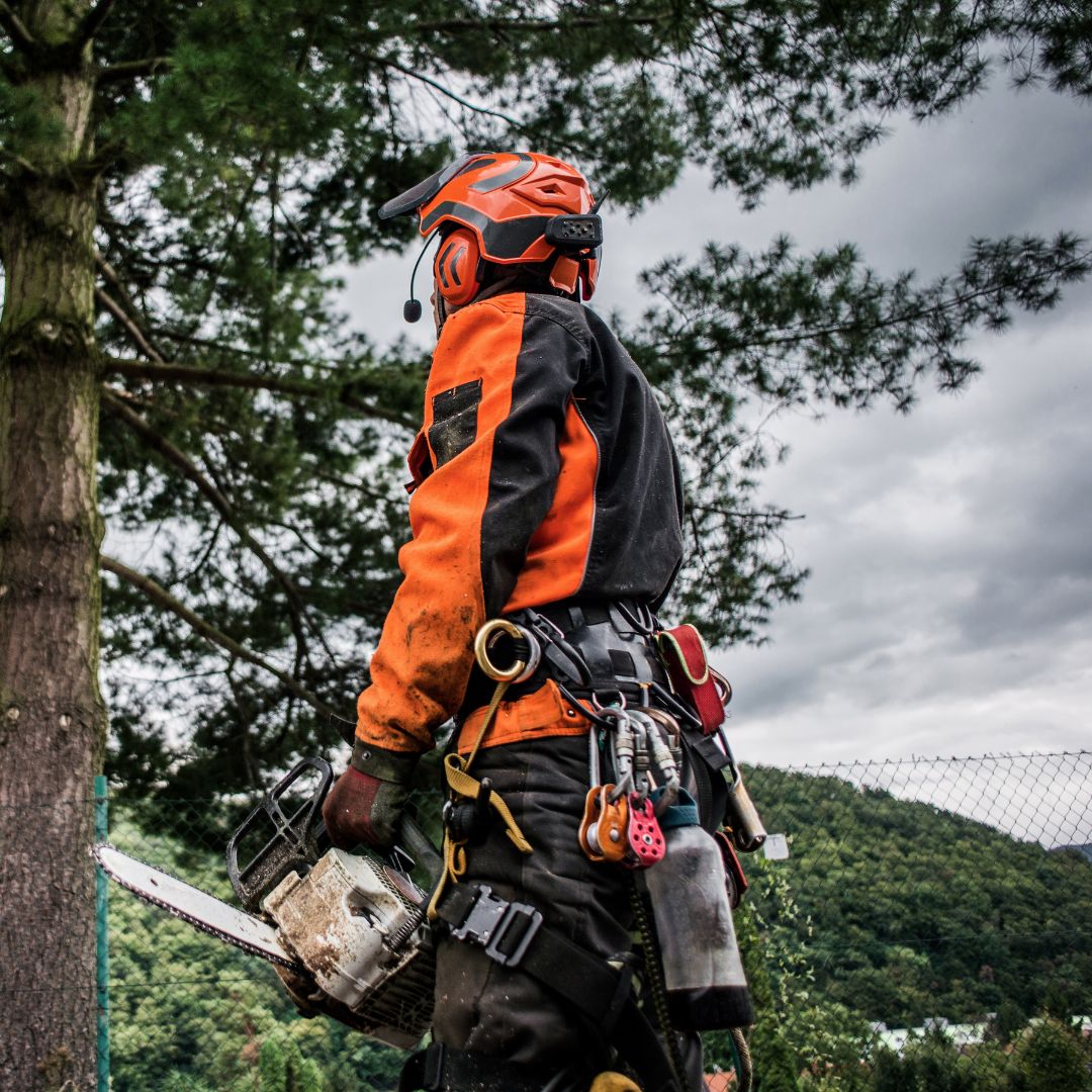 CORSO OPERATORE FORESTALE